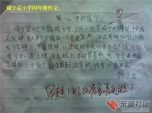 美丽的大自然组成