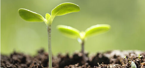 一流的员工必须具备6种能力