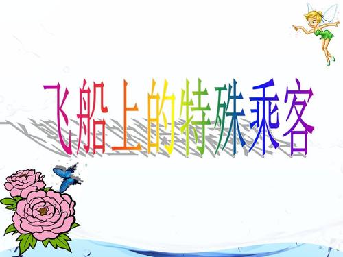 航天飞机上的特殊乘客