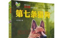 沈石溪经典语录