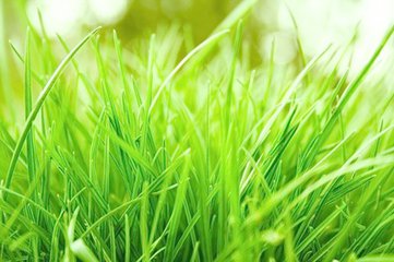 200字优美的风景构图