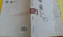 苏童妻妾成群读后感