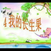 我对“永恒的果实”的想法