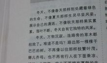 写春天花的作文