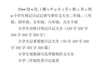 周末记事作文400字