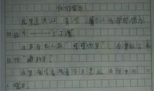 未来的海洋作文300字