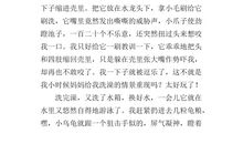 关于十一趣事的作文