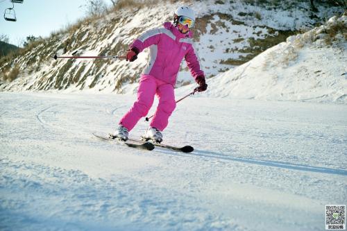 关于滑雪的组成