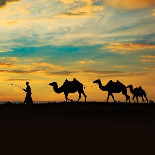 今天是我余生中最年轻的一天