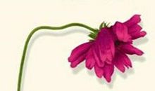 第一份工作是你的敲门砖