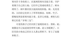 冬天来了作文400字