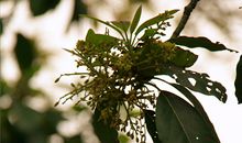 青春，用完了才知道当初挥霍的太快