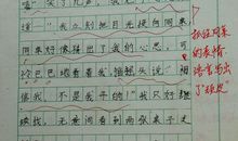 我的家人作文600字