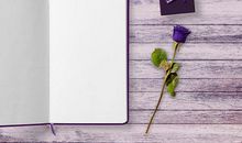 与书相遇初中作文