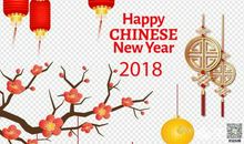 欢庆元旦作文500字