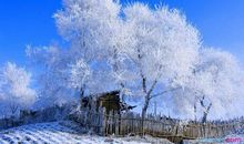 冬天的景色作文