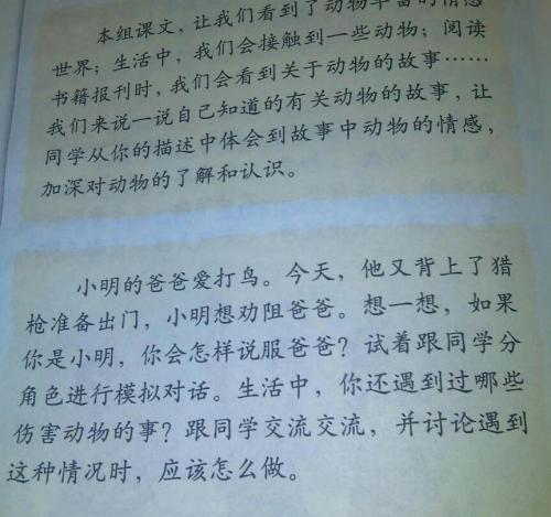 我最喜欢的动物组成