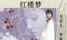 红楼梦宝玉挨打读后感