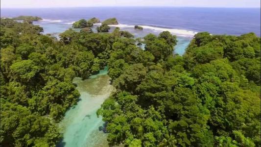 关于地球脉动的思考