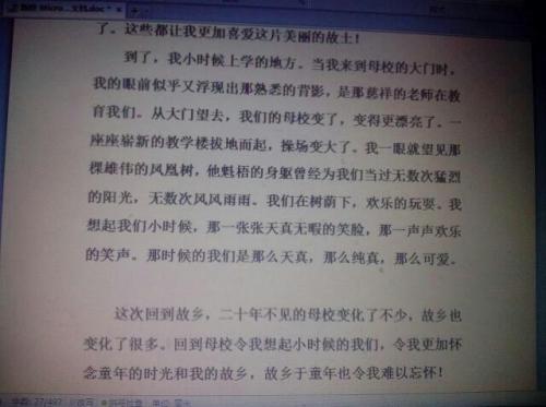 二十年后的家乡组成