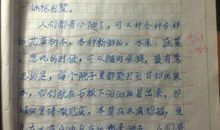 家乡的山作文400字