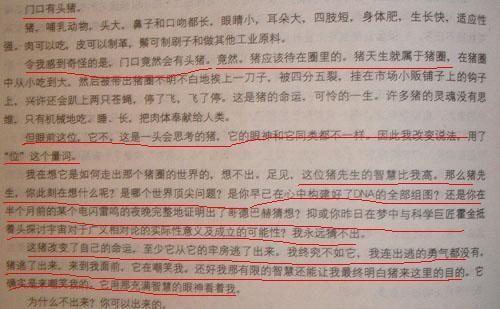 我心中的英雄组合