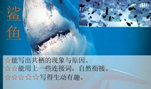 有趣的动物共栖现象读后感