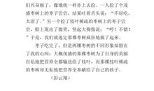 家乡的枣树作文