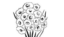 寻猫奇遇记读后感