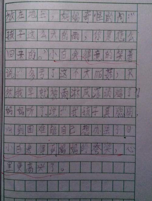 关于兔子成分的400个单词