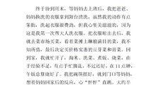 第一次做家务600字