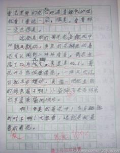 三年级作文未来的故乡