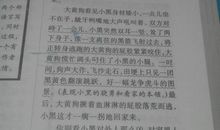 写小动物的作文350字