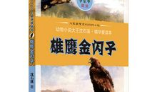 雄鹰金闪子读后感