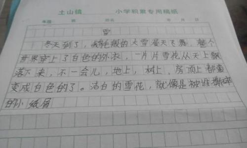 节日习俗组成450字
