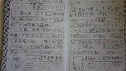 我眼中的夏天构图