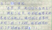 那一次让我惊喜作文