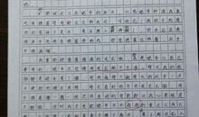 关于温暖的回忆的作文