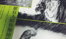 《愿有人陪你颠沛流离》读后感