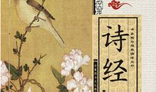 诗经读后感1500字