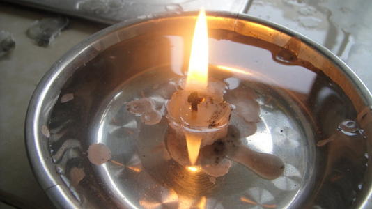 450字是我的一项科学尝试