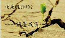 生命不能承受之轻读后感