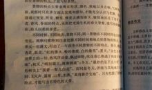 关于灯的作文400字