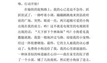 周末见闻作文600字