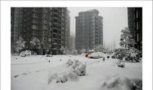 冬天下雪的作文