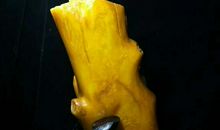 《旋花和蜥蜴》读后感