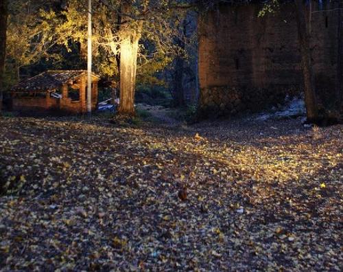 看完秋天的夜晚