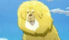 藏獒多吉观后感