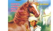 风之王读后感400