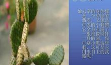 三年级作文养花趣事